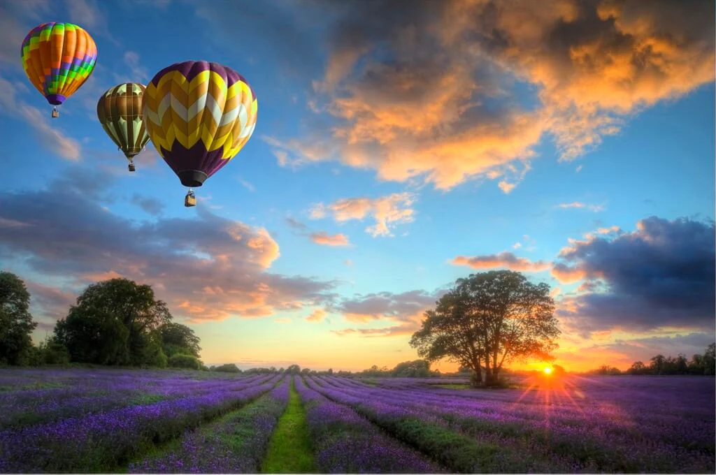 Portrait Vs. Landscape Orientation: Which is Best?
